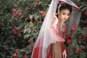 Sophisticated Style and Artistic Flair: Art Language Vol.6384 Featuring Jin Zou Ba - image 18