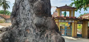 Unsolved Mysteries: The Hidden Gold Treasures of Vietnam - image 3