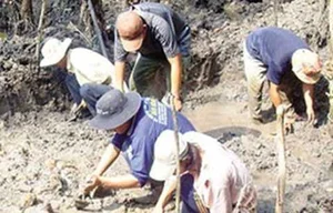 Unsolved Mysteries: The Hidden Gold Treasures of Vietnam - image 5