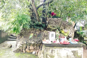 Unsolved Mysteries: The Hidden Gold Treasures of Vietnam - image 1