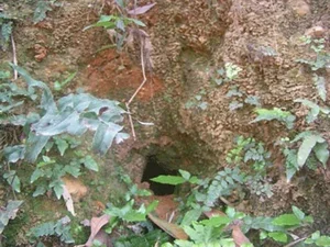Unsolved Mysteries: The Hidden Gold Treasures of Vietnam - image 2