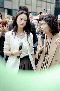 Actress Tang Wei at 47: Career Milestones and Recent Pregnancy Rumors - image 9