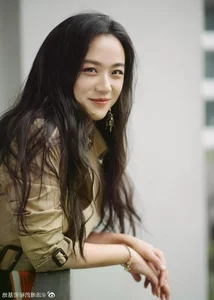 Actress Tang Wei at 47: Career Milestones and Recent Pregnancy Rumors - image 4