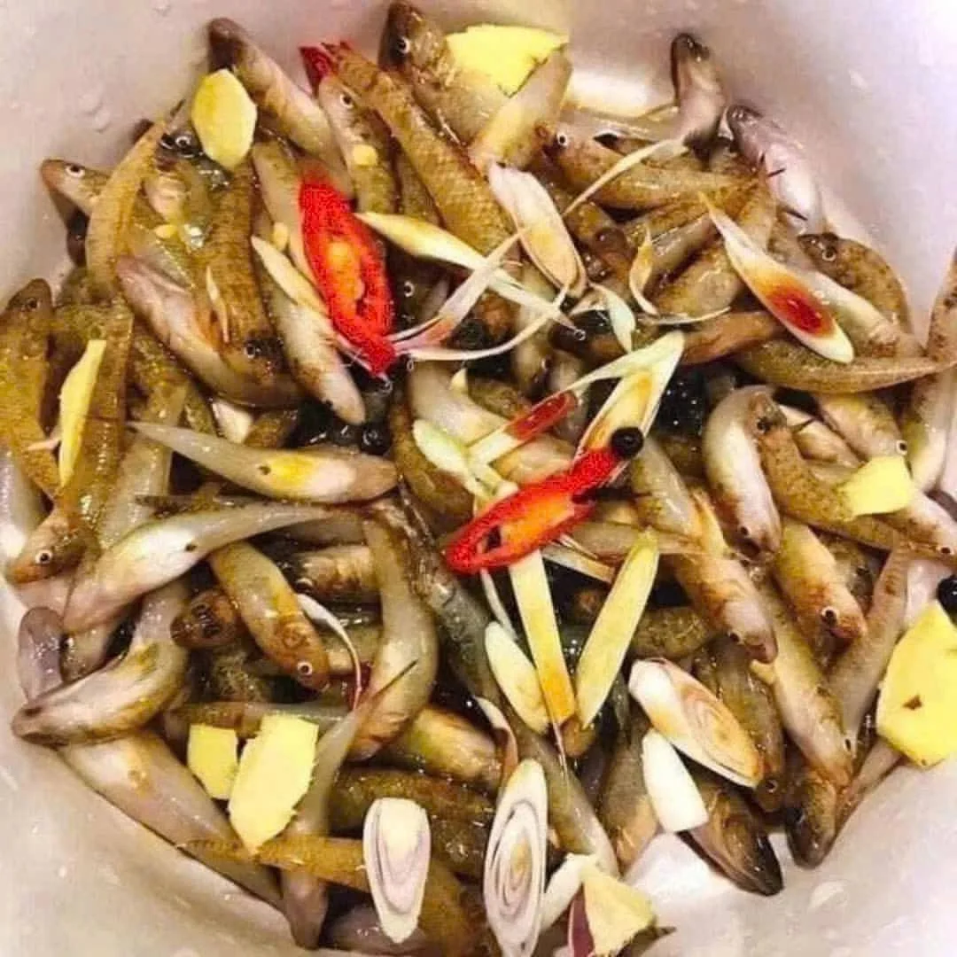 The Rare Seasonal Delicacy: From 'Poor Man's Fish' to Luxury Food