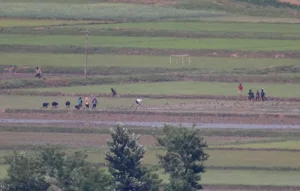 Glimpses of Daily Life in North Korea: A View From the Border - image 6