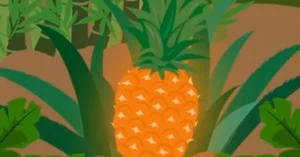 The Legend of the Pineapple: A Touching Vietnamese Folk Tale - image 0