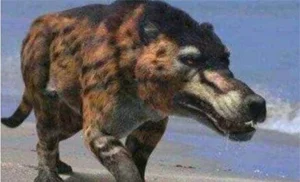 Scientists Astonished by Reappearance of Ancient Wolf Species Thought Extinct - image 2