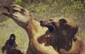 Scientists Astonished by Reappearance of Ancient Wolf Species Thought Extinct - image 0