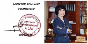 The Power of a Pen: The Trillion-VND Signatures of Vietnamese Billionaires - image 6