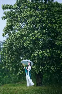 VGU No.172: Captivating Vietnamese Ao Dai Student in a Dreamy Moment, Showcasing Pure Grace Amidst Nature. - image 3