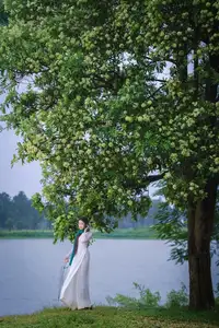 VGU No.172: Captivating Vietnamese Ao Dai Student in a Dreamy Moment, Showcasing Pure Grace Amidst Nature. - image 4
