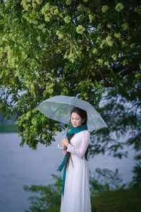 VGU No.172: Captivating Vietnamese Ao Dai Student in a Dreamy Moment, Showcasing Pure Grace Amidst Nature. - image 12
