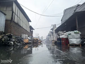 The Dark Side of Wealth: Aluminum Recycling Pollution in Bac Ninh’s Billionaire Village - image 3