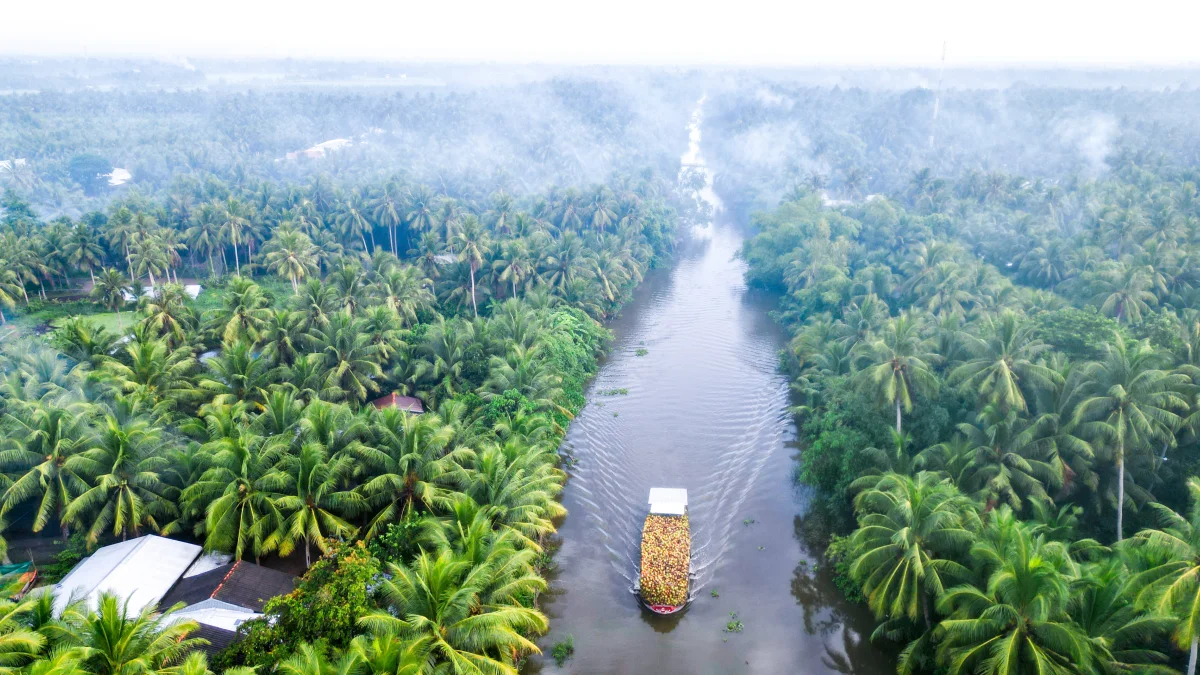 The Ethereal Beauty of the Mekong Delta in the Morning Mist