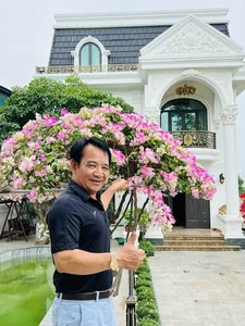 Inside the Spectacular 1,000-Square-Meter Castle Villa of Artist Quang Teo - image 6