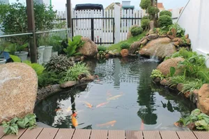 2026 Home Water Feature and Landscape Design Ideas for a Relaxing Atmosphere - image 17