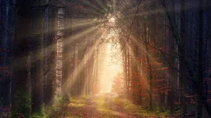 Ultimate Collection of 99+ Beautiful and Romantic Sunrise Photos - image 72