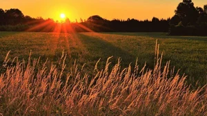 Ultimate Collection of 99+ Beautiful and Romantic Sunrise Photos - image 36