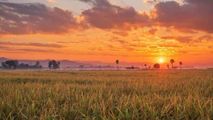 Ultimate Collection of 99+ Beautiful and Romantic Sunrise Photos - image 17