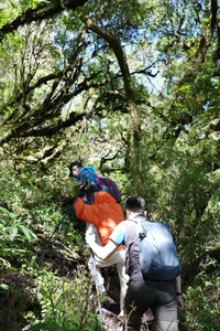 Conquering Ta Chi Nhu Summit: An Emotional Journey Above the Clouds - image 0