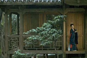 YiTuYu Art Language Vol.10508: Exploring the Stunning Visual Narrative of Daiozan Daio in Professional Photography - image 39