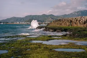 Discover Hon Do: Lush Green Moss Beach and Majestic Sea Cave, a Mesmerizing Landscape in Khanh Hoa. - image 9