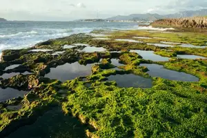 Discover Hon Do: Lush Green Moss Beach and Majestic Sea Cave, a Mesmerizing Landscape in Khanh Hoa. - image 7