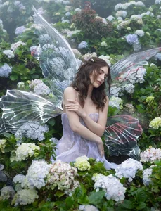 Miss Universe Venezuela 2025 Shines in Mystical Forest Photoshoot - image 0