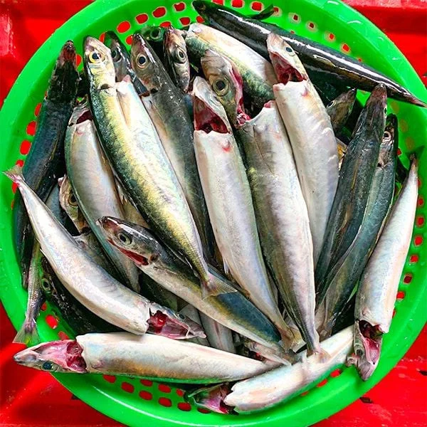 Delicious Scad Fish Dishes: Famous Specialties from My Tam's Hometown