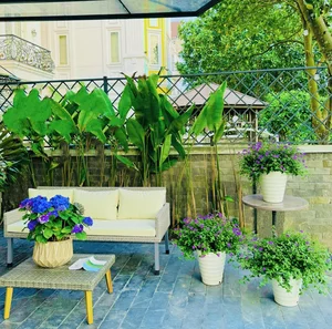 Inside the Gorgeous Flower-Filled Villa of Northern Vietnam’s Wealthiest Actress - image 7