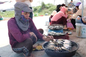 Grilled Herring Season Sparks Culinary Frenzy Along Vietnam's Scenic Coastlines - image 5