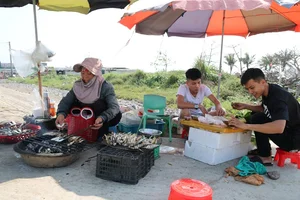 Grilled Herring Season Sparks Culinary Frenzy Along Vietnam's Scenic Coastlines - image 6