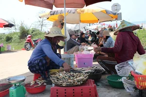 Grilled Herring Season Sparks Culinary Frenzy Along Vietnam's Scenic Coastlines - image 4