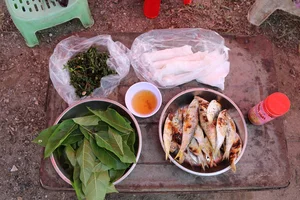 Grilled Herring Season Sparks Culinary Frenzy Along Vietnam's Scenic Coastlines - image 1