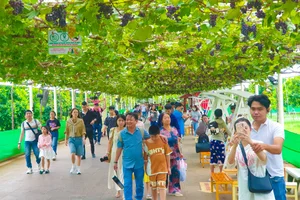 Green Tourism at Suoi Tien: Experiencing the Vineyard and Farm During Tet Holiday - image 6