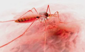 The Deadliest Animals: Which Creatures Pose the Greatest Threat to Humans? - image 6