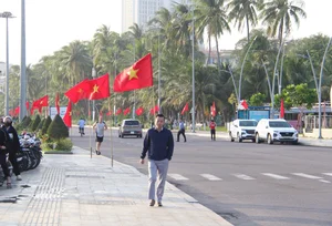 Binh Dinh Inaugurates Coastal National Flag Road in Quy Nhon City - image 14