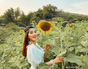 The Ultimate Moc Chau Travel Guide 2025: Best Things to Do, Places to Stay, and Local Food in Vietnam’s Highland Paradise - image 1