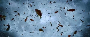 Mind-Blowing Science Facts That Will Change Your Perspective on the World - image 3
