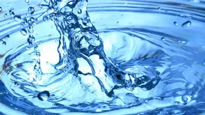 Mind-Blowing Science Facts That Will Change Your Perspective on the World - image 2