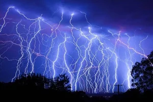 Mind-Blowing Science Facts That Will Change Your Perspective on the World - image 5