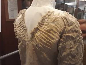 The Tarkhan Dress: Unveiling 5,000 Years of Ancient Fashion Trends and Textile History - image 5