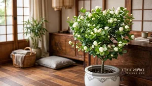 Top 4 Feng Shui Plants to Attract Wealth and Prosperity to Your Home - image 9