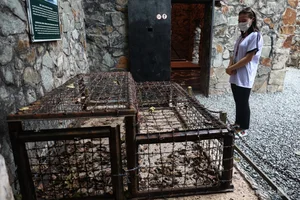 Exploring the Recreation of Hell on Earth in Saigon - image 4
