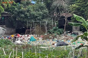 Severe Pollution in Hanoi Plastic Recycling Hub Raises Alarm - image 9