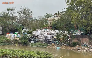 Severe Pollution in Hanoi Plastic Recycling Hub Raises Alarm - image 8