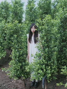 Captivating Beauty in YiTuYu Art Language Vol.5026 Xiao Hong - image 29