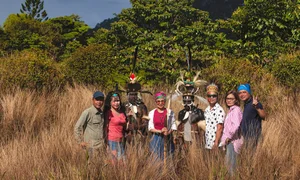 Indonesian Wildlife Adventure: A 15-Day Journey Seeking Rare Birds and Orangutans - image 0