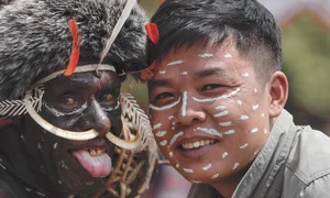 Indonesian Wildlife Adventure: A 15-Day Journey Seeking Rare Birds and Orangutans - image 4