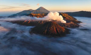 Indonesian Wildlife Adventure: A 15-Day Journey Seeking Rare Birds and Orangutans - image 9